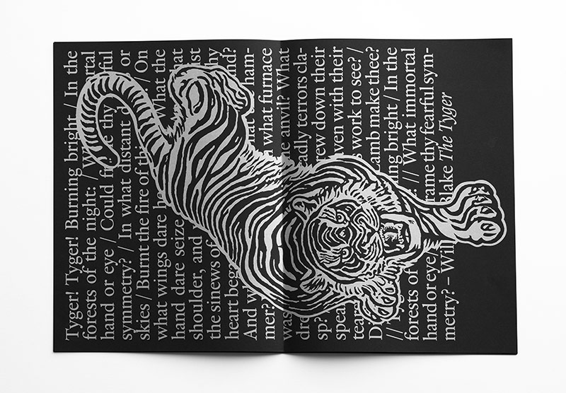 cartacanta21 16 tigre tigre