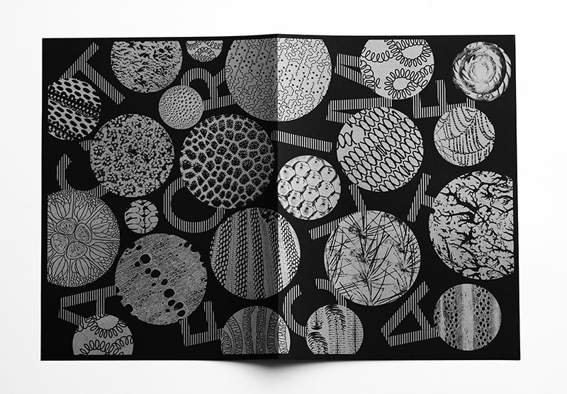 cartacanta21 34 act for climate